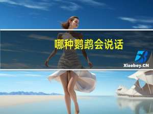 哪种鹦鹉会说话