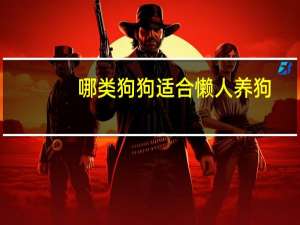 哪类狗狗适合懒人养狗