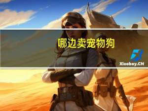 哪边卖宠物狗