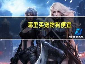 哪里买宠物狗便宜