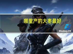 哪里产的大枣最好