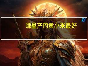 哪里产的黄小米最好