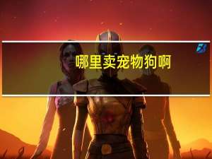 哪里卖宠物狗啊