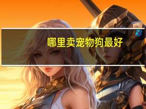 哪里卖宠物狗最好
