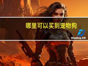 哪里可以买到宠物狗