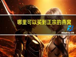 哪里可以买到正宗的燕窝