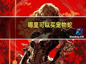 哪里可以买宠物蛇