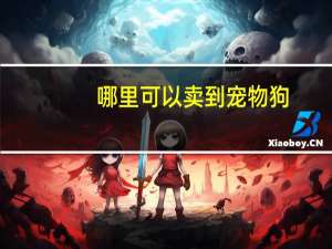 哪里可以卖到宠物狗