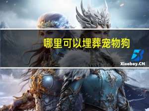 哪里可以埋葬宠物狗