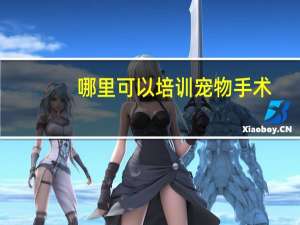 哪里可以培训宠物手术