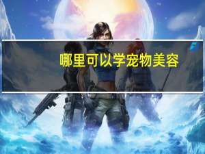 哪里可以学宠物美容