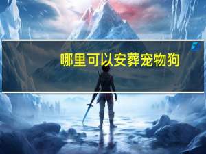 哪里可以安葬宠物狗