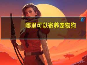 哪里可以寄养宠物狗