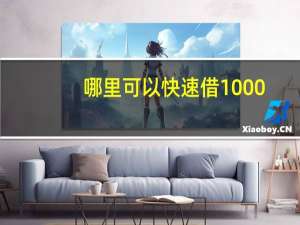 哪里可以快速借1000
