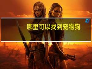 哪里可以找到宠物狗