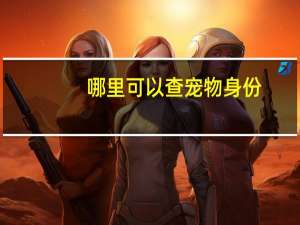 哪里可以查宠物身份