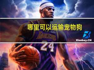 哪里可以运输宠物狗