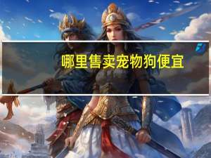 哪里售卖宠物狗便宜
