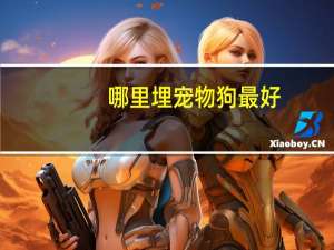 哪里埋宠物狗最好