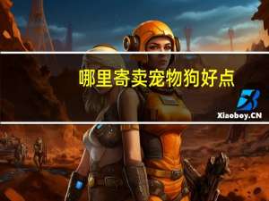 哪里寄卖宠物狗好点