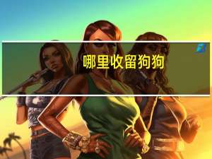 哪里收留狗狗