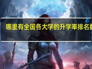 哪里有全国各大学的升学率排名数据