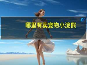 哪里有卖宠物小浣熊