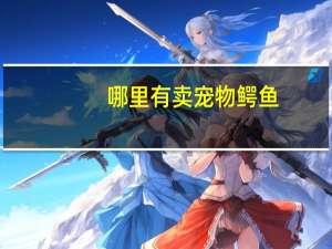 哪里有卖宠物鳄鱼