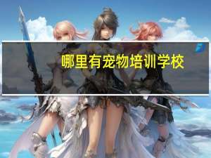 哪里有宠物培训学校