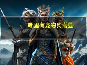 哪里有宠物狗嵩县