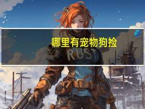 哪里有宠物狗捡