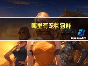 哪里有宠物狗群
