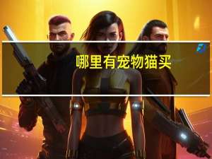 哪里有宠物猫买