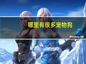 哪里有很多宠物狗
