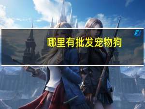 哪里有批发宠物狗