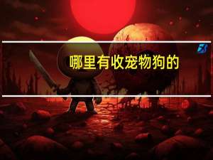 哪里有收宠物狗的