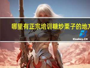 哪里有正宗培训糖炒栗子的地方