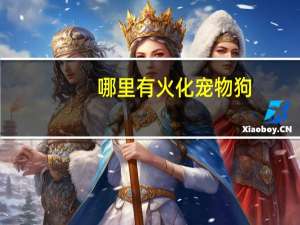 哪里有火化宠物狗