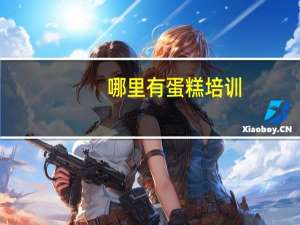 哪里有蛋糕培训