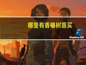 哪里有香椿树苗买