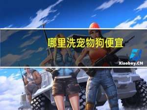 哪里洗宠物狗便宜