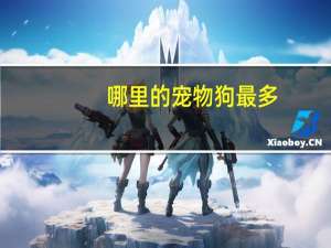 哪里的宠物狗最多