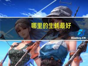 哪里的生蚝最好