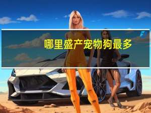 哪里盛产宠物狗最多