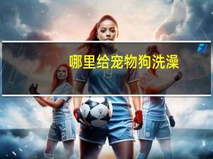 哪里给宠物狗洗澡