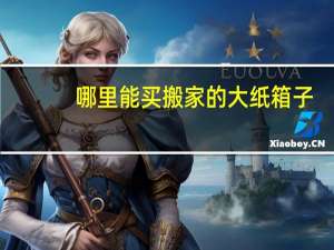 哪里能买搬家的大纸箱子