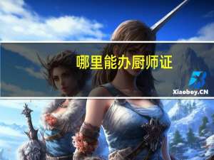 哪里能办厨师证