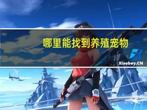 哪里能找到养殖宠物