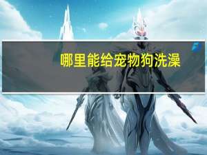 哪里能给宠物狗洗澡