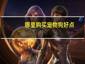 哪里购买宠物狗好点